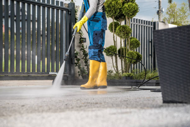 Best Solar Panel Cleaning  in Omaha, TX
