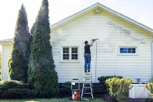 Best Building Exterior Washing  in Omaha, TX
